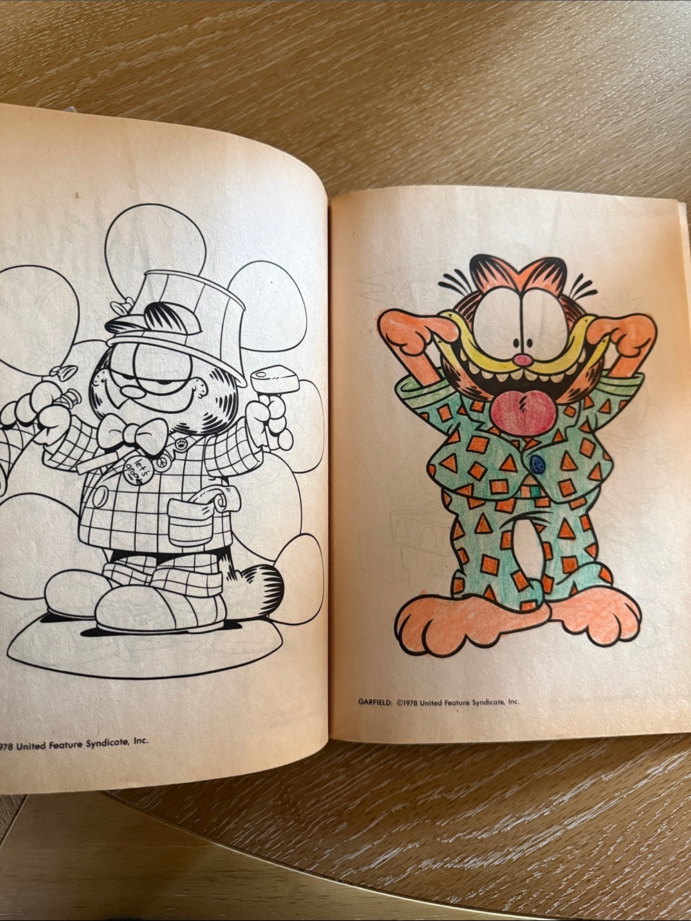 Vintage Tiny Toons and Garfield Coloring Books USED - Picture 12 of 16